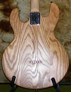 Peavey T-60-5.jpg