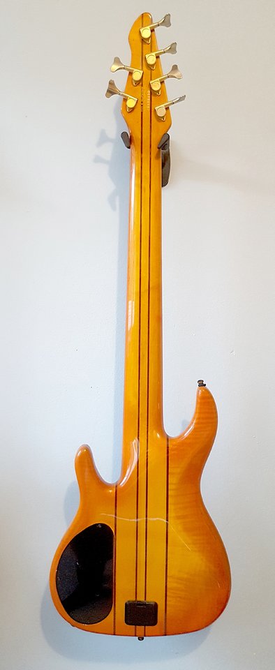 peavey_tl6_back.jpg