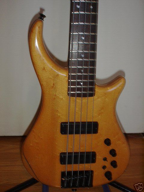 ped45_3.jpg