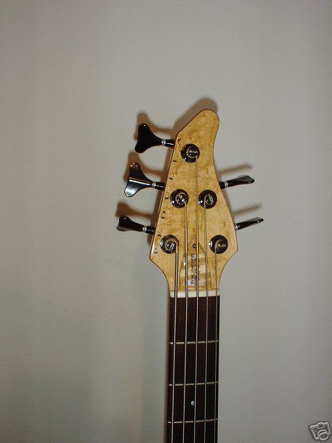 ped9b_3.jpg
