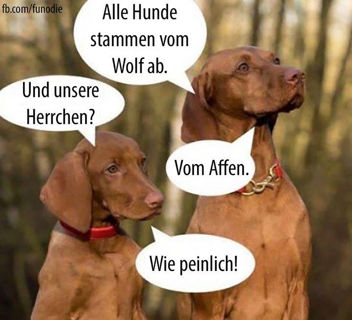 peinlich.jpg