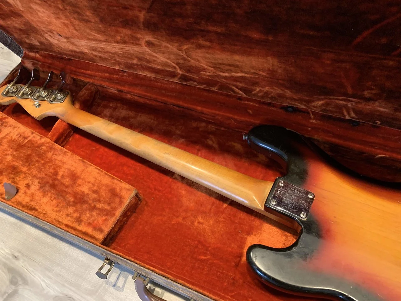 Photo Feb 24, 3 49 39 PM.webp