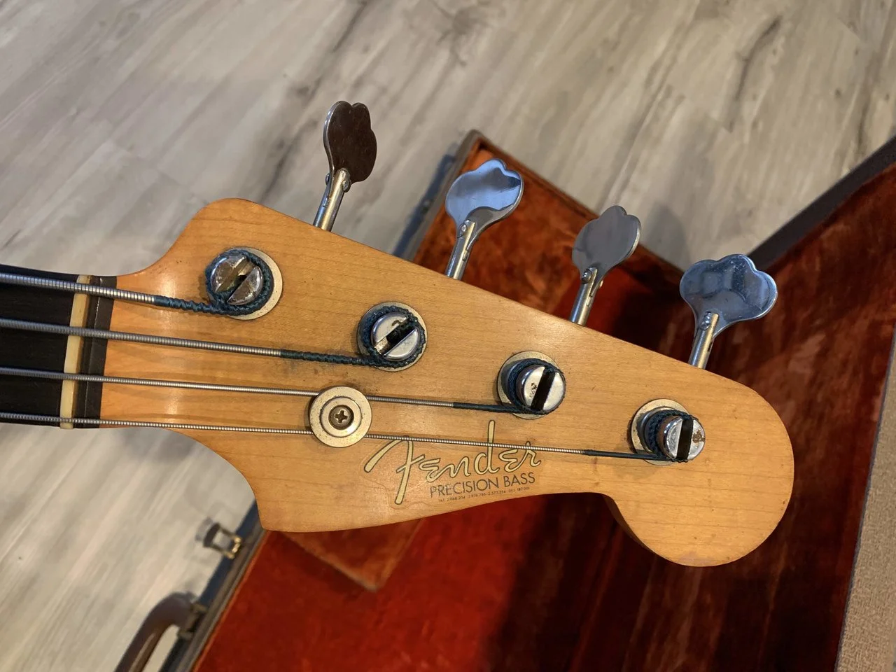 Photo Feb 24, 3 53 06 PM.webp