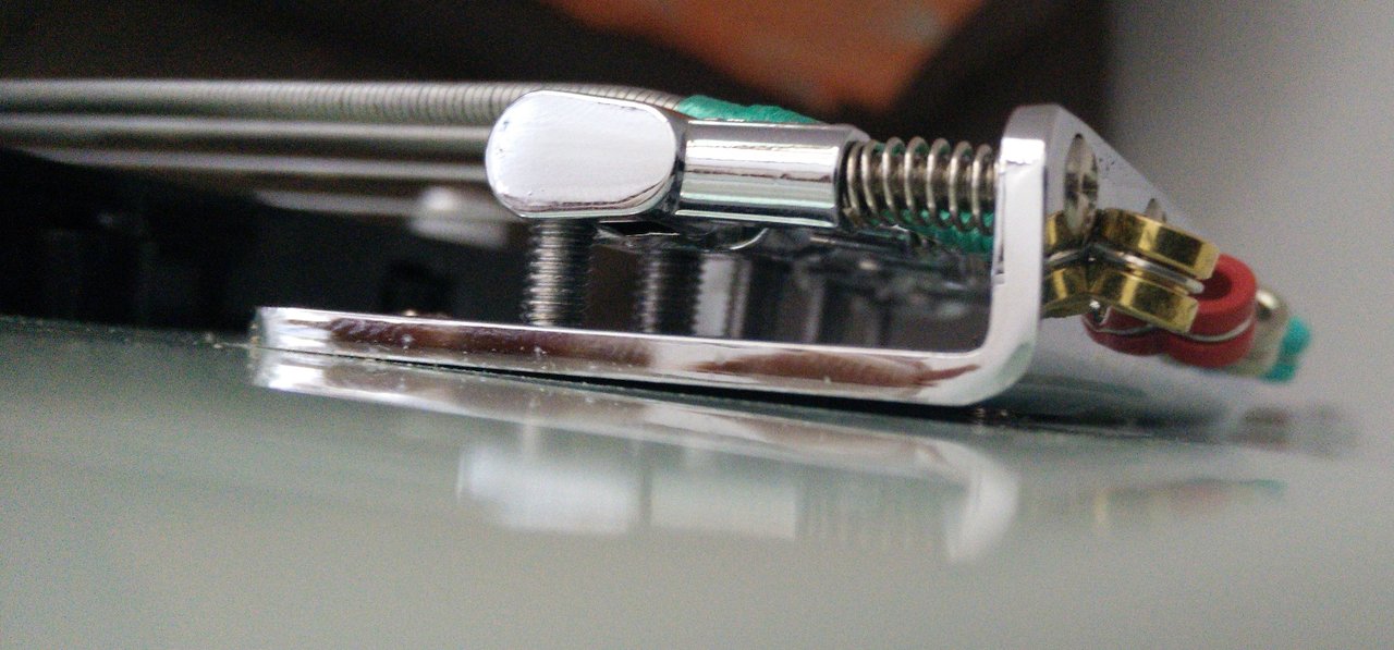 pic1.jpg