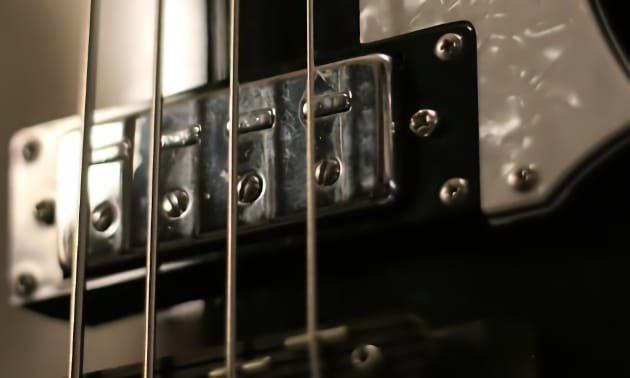 Fretless Bass Pickup Wahl