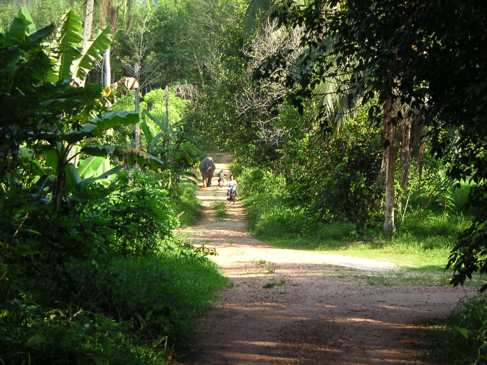 PICT0044.JPG