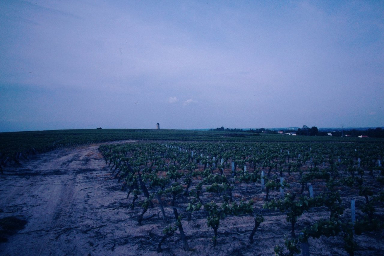 Pict1111.jpg