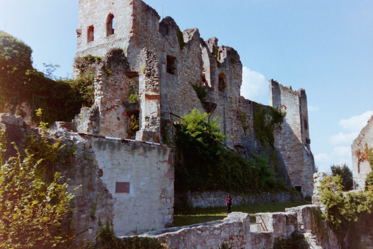 Pict3641.jpg