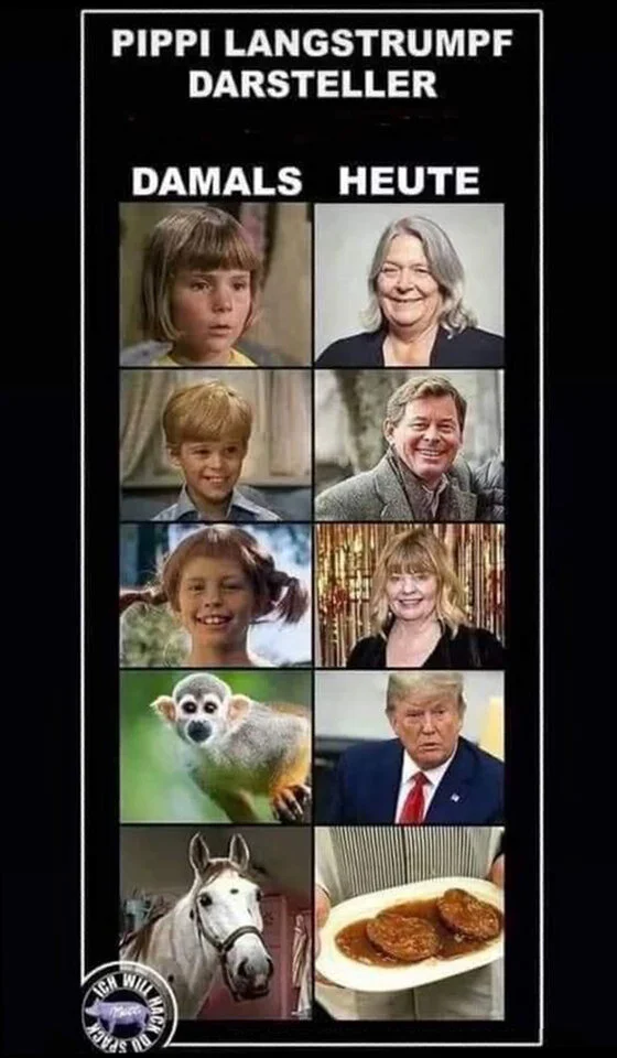 pippi langstrump 51646.webp