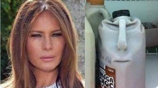 plastic can melania.webp