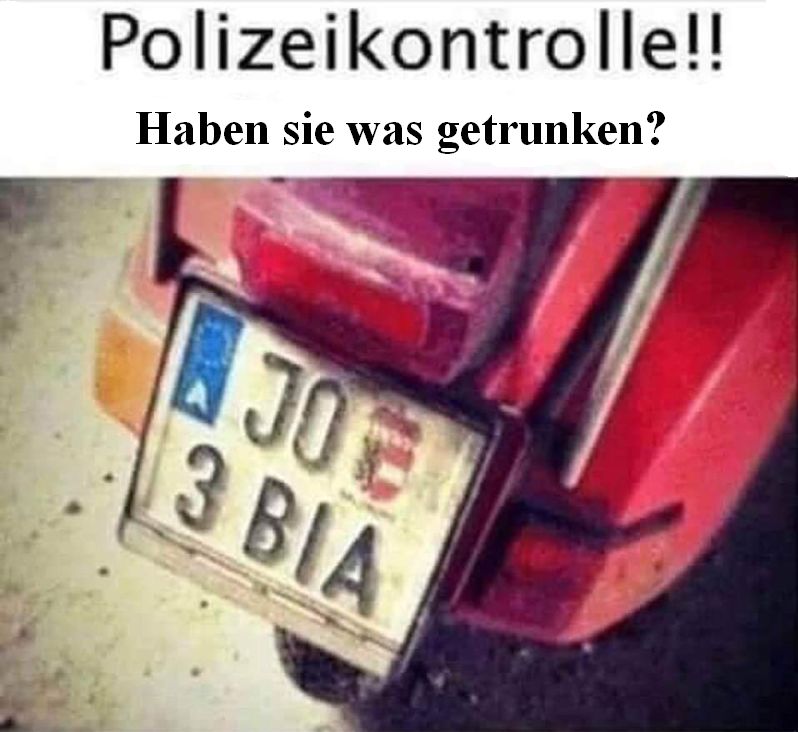 Polizeikontrolle.jpg