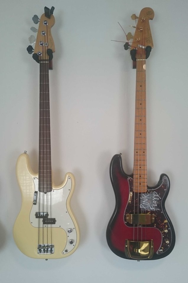 Preci Neu Fretless.jpg