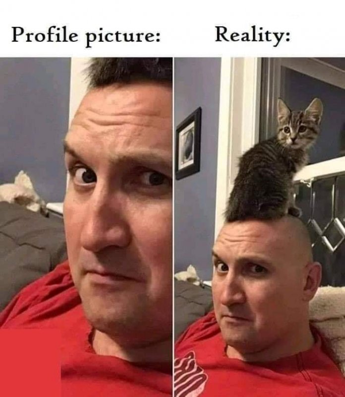 Profile.jpg