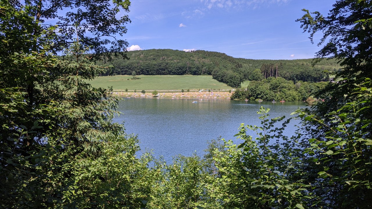 PXL_20210619_110258361.jpg