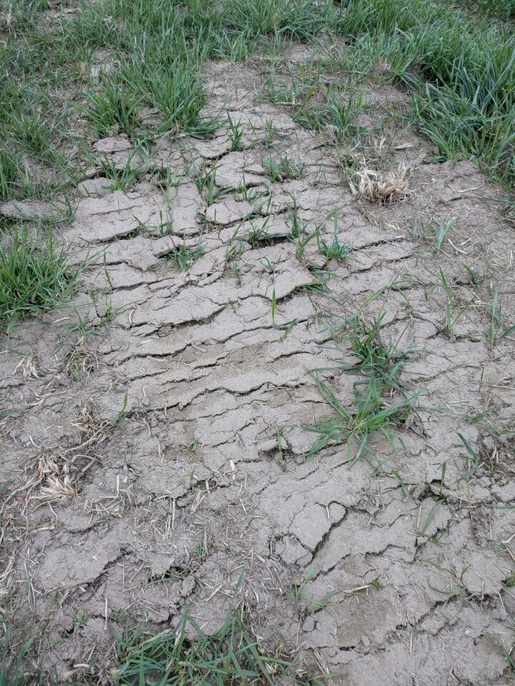 PXL_20250410_060119902.jpg