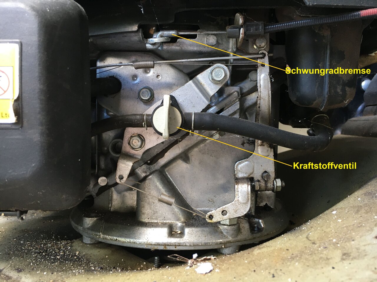 rasenmähermotor1.jpg
