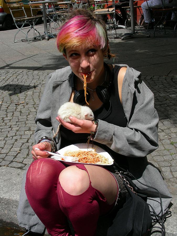 rat.jpg