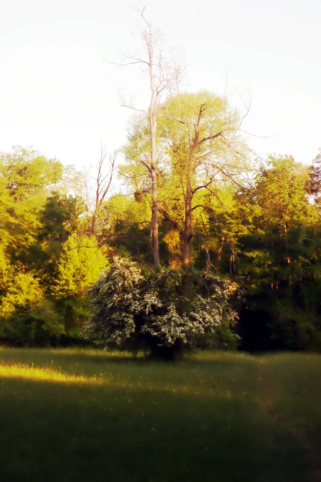 RAW_04_05052018 136.webp