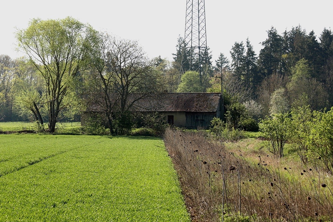 Reiling_20042019_03.JPG