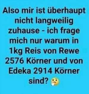 reis.jpeg