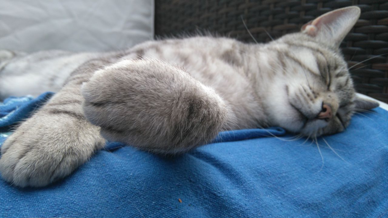 relax.jpg
