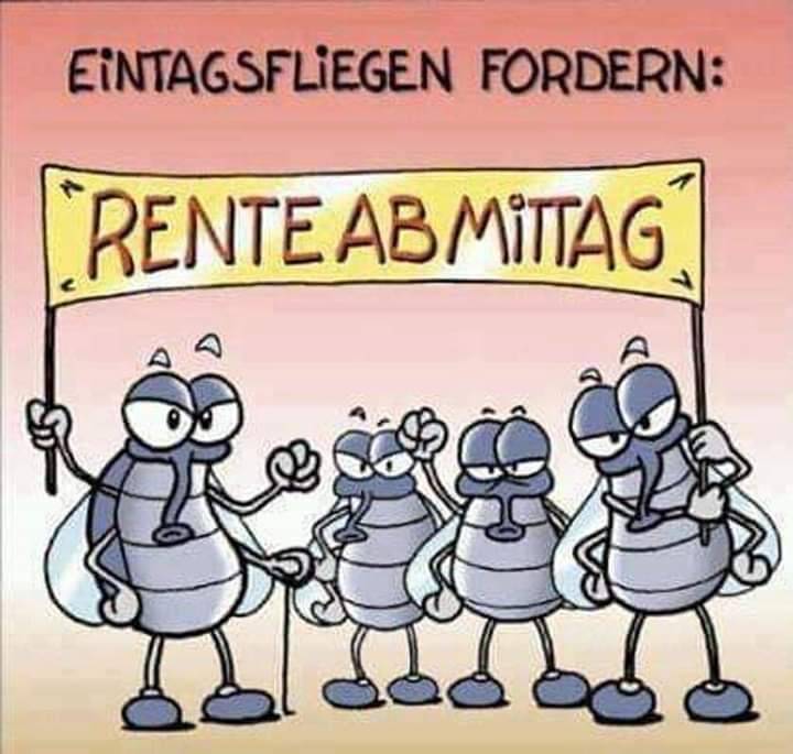 Rente.jpg