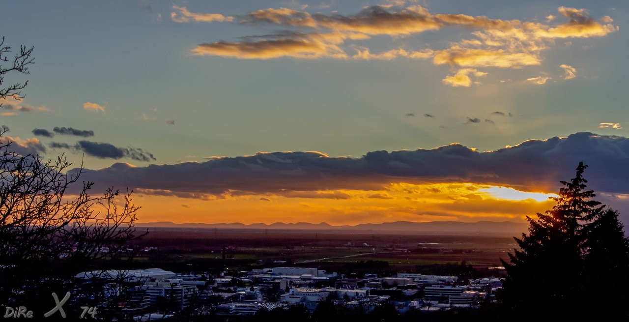 rohrbach_24082019.jpg