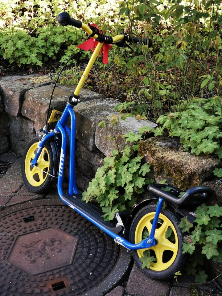 Roller.jpg