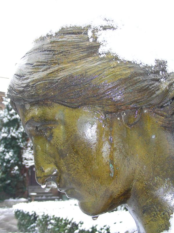 Rotznase.jpg