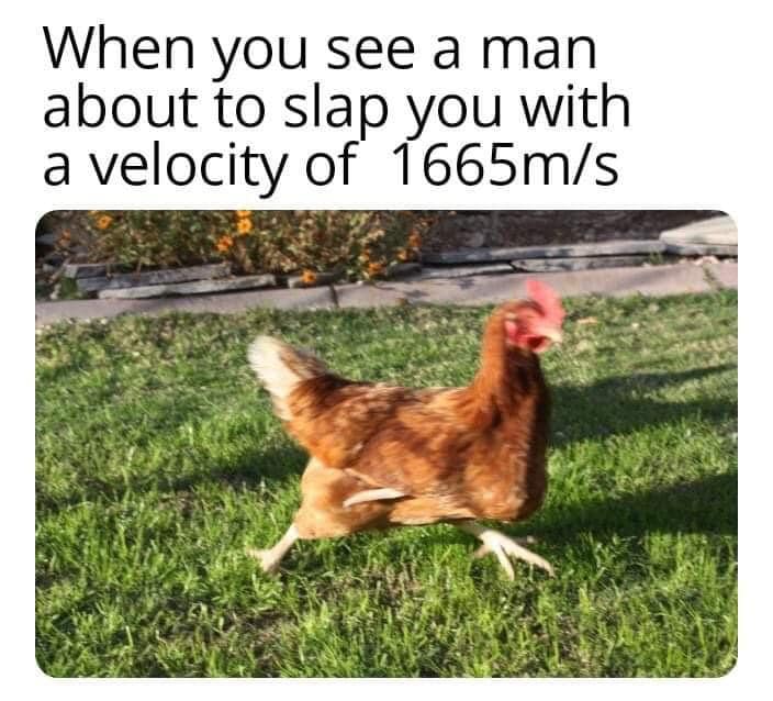 run.jpg