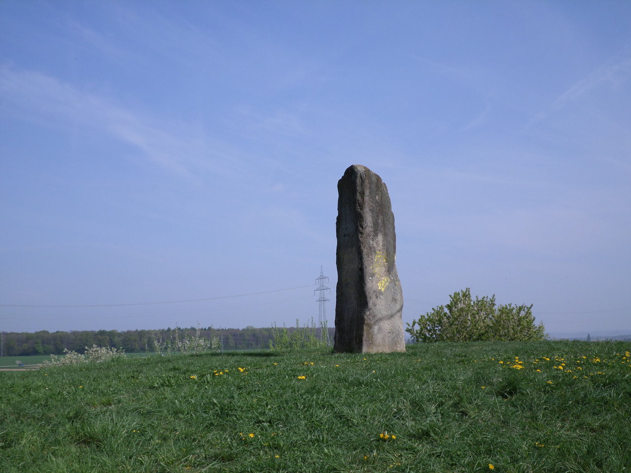SAM_0196.JPG