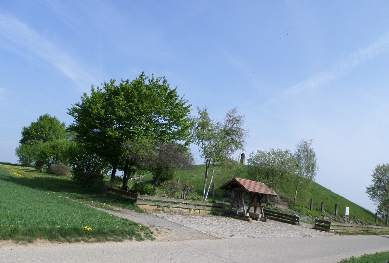 SAM_0205.JPG