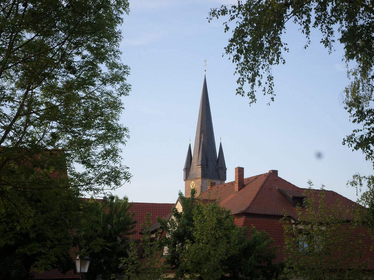 SAM_3466.JPG