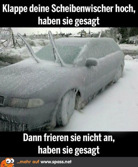 scheibenwischer-550x625.jpg
