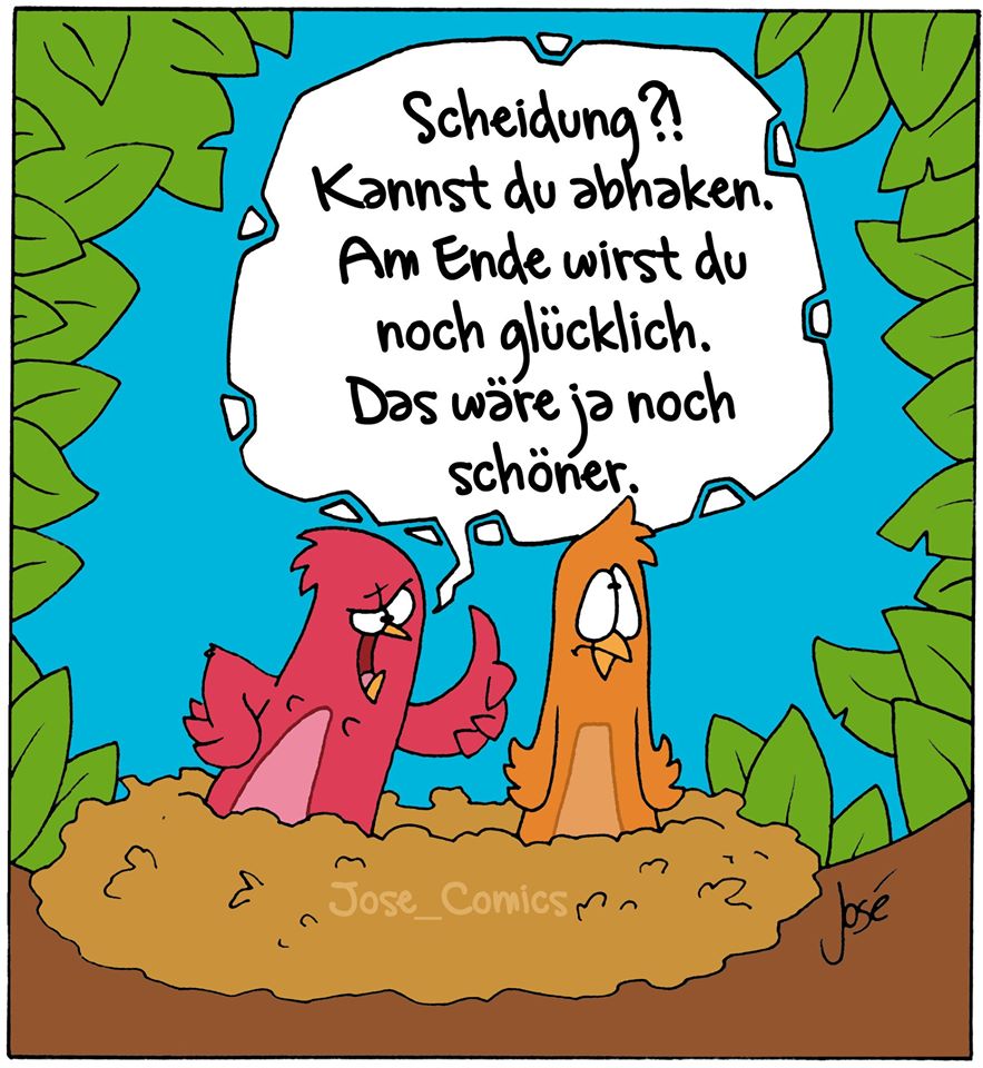 scheidung.jpg