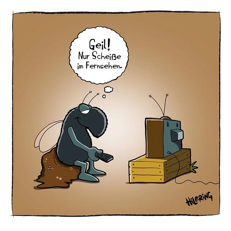 Scheiße im Fernsehn.webp