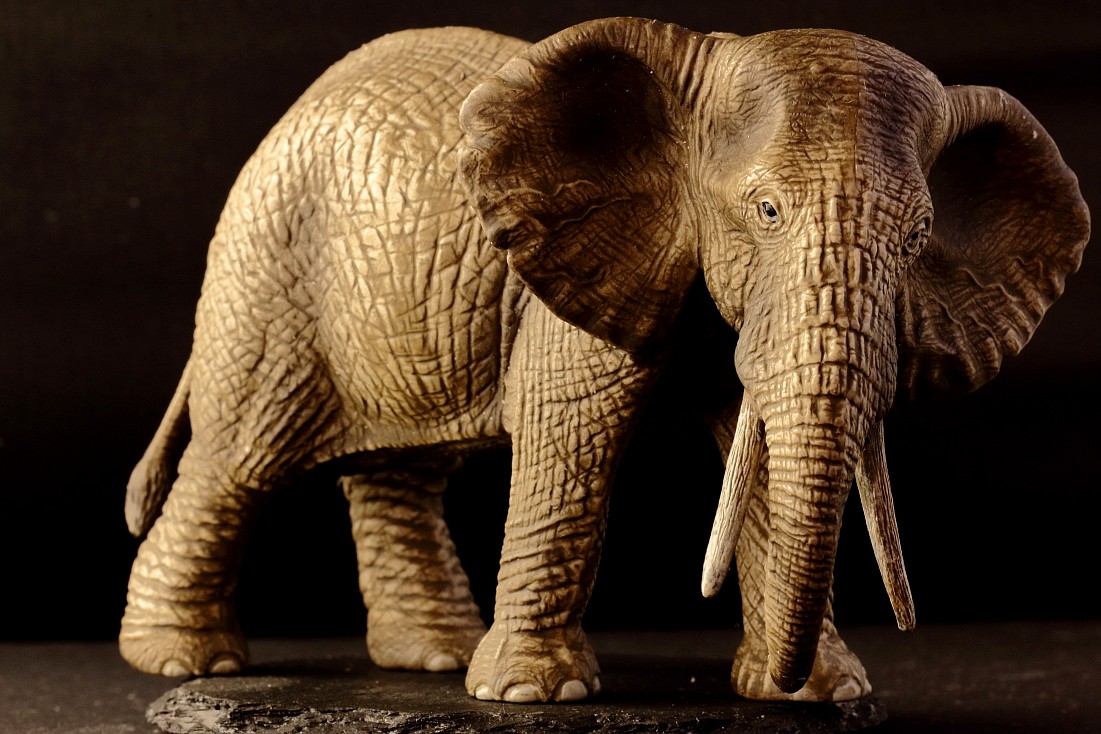 Schleich_06.JPG