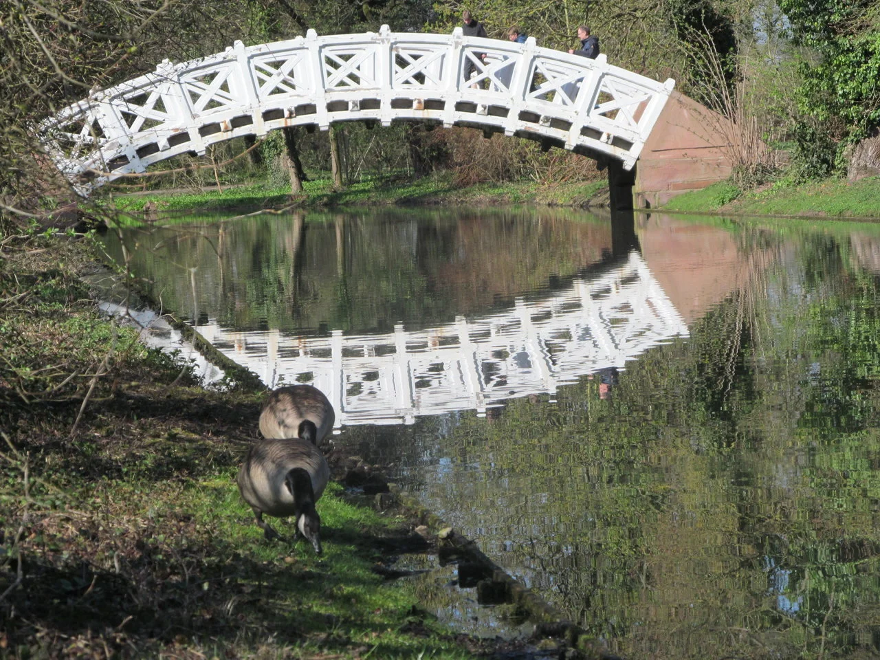 SchlossSchwetz_07042018 053.webp