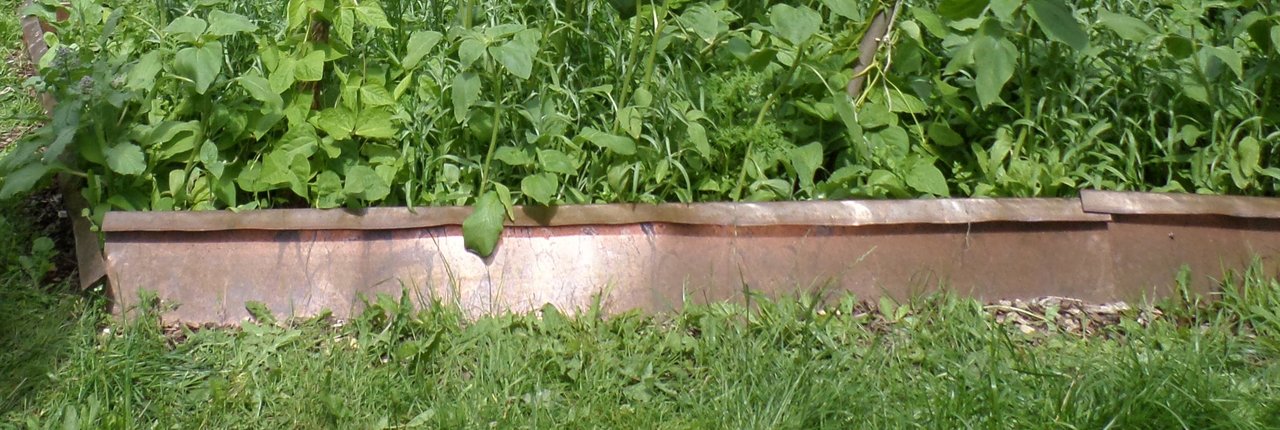 schneckenzaun-2JPG.JPG