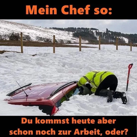 Schneewaechte.webp