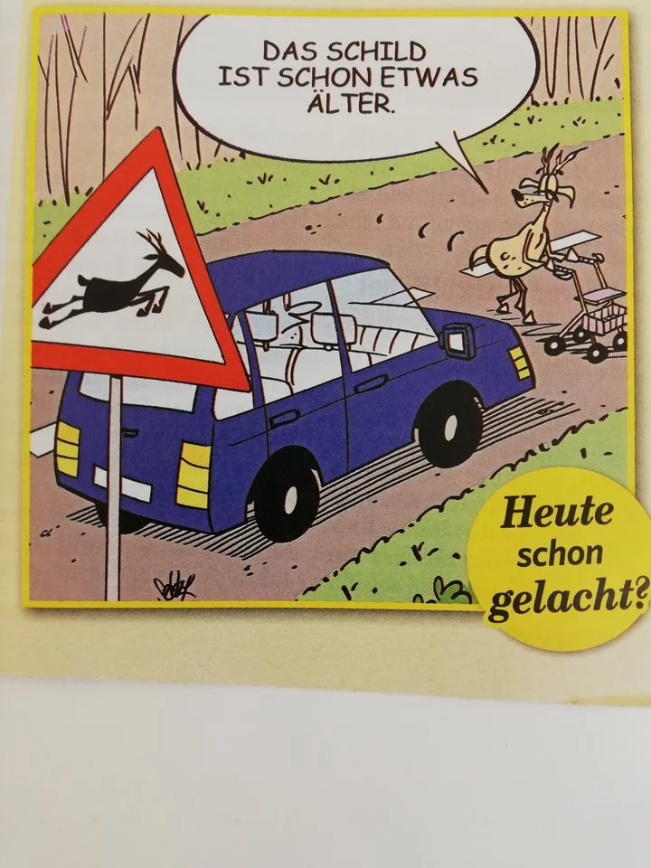 schon etwas aelter.webp