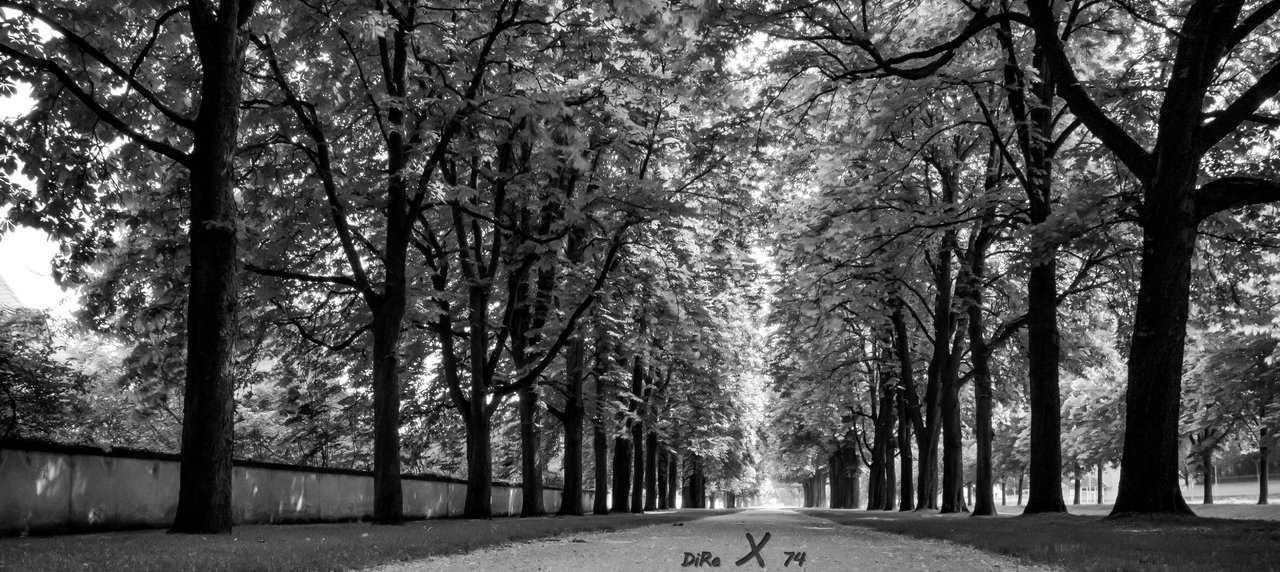 schw schlosspark out_09122019-2.jpg