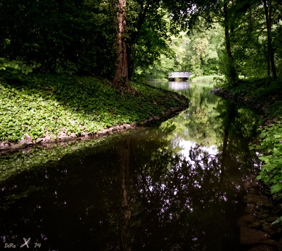 Schw Schlosspark_09122019-2.jpg