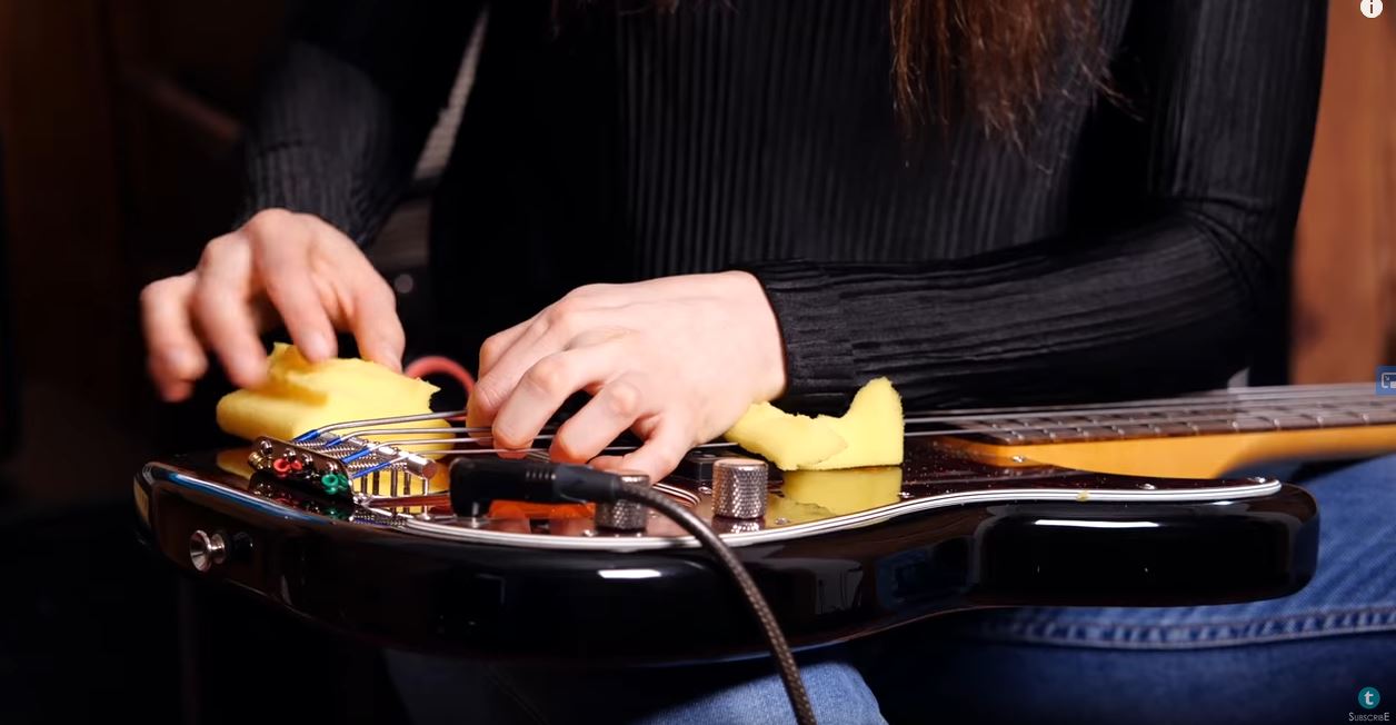 schwamm_bass_rechen.JPG