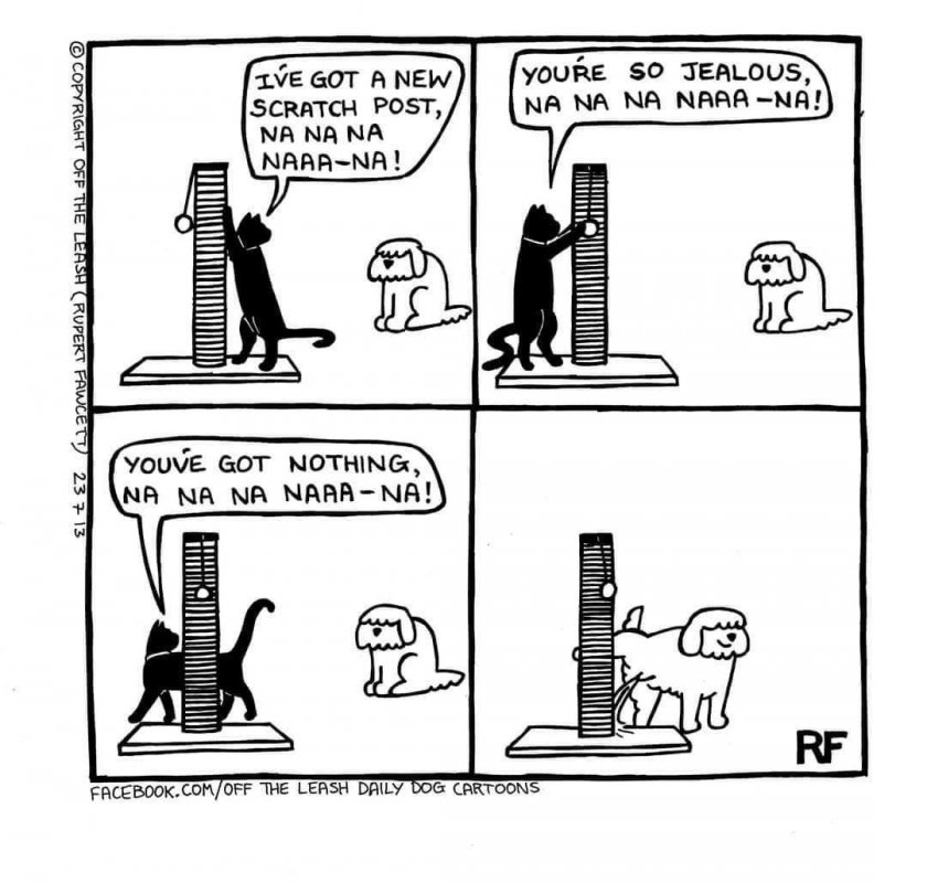 scratch post.jpg