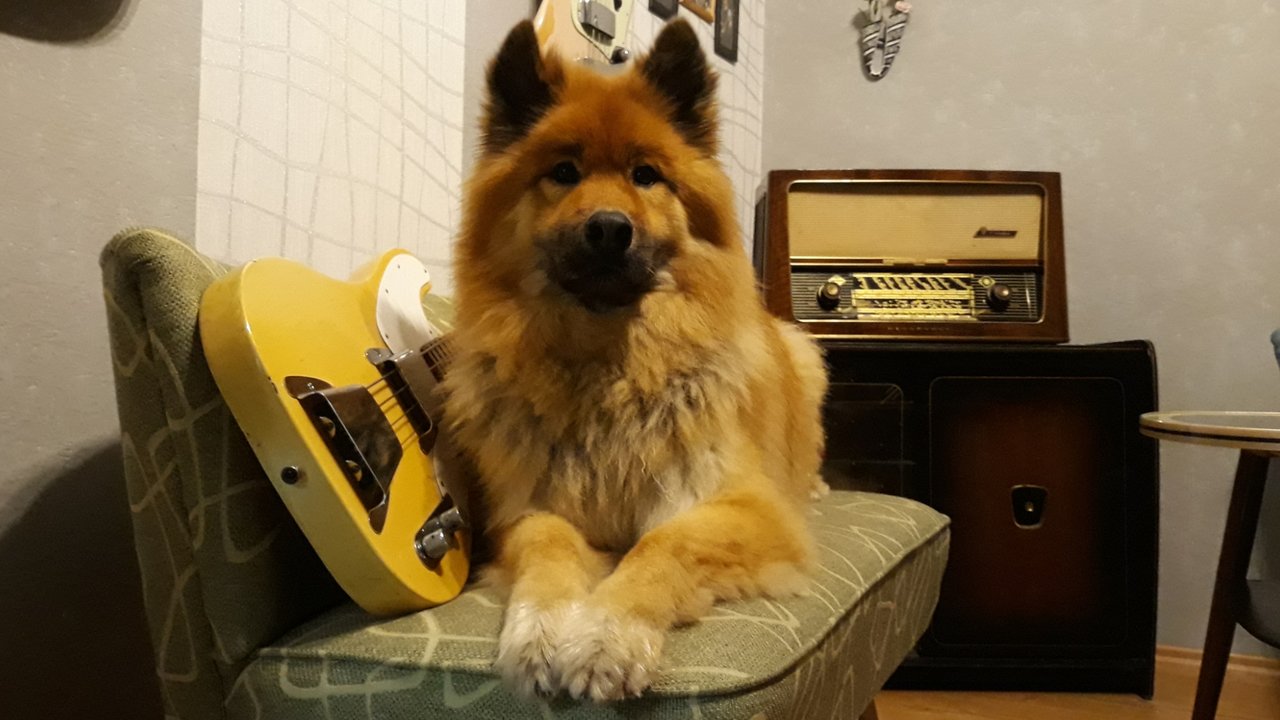Screenshot_20181222-171629_Gallery.jpg