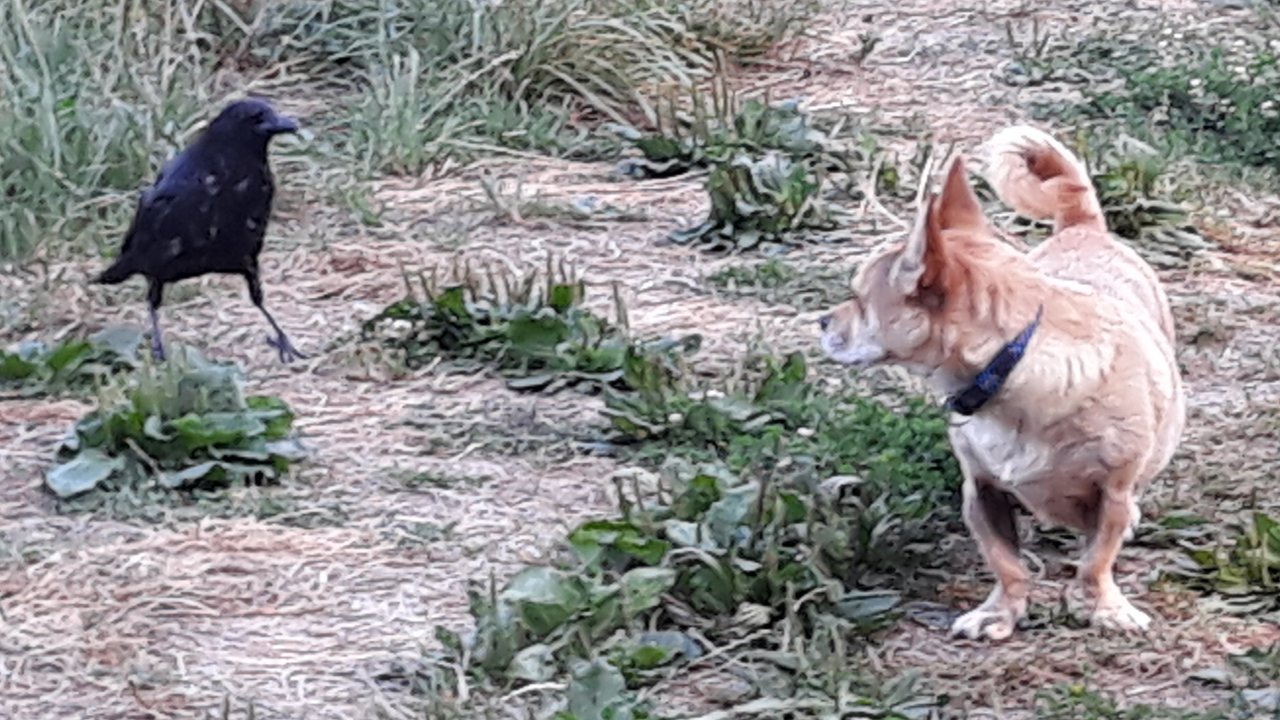 Screenshot_20190818-053327_Gallery.jpg