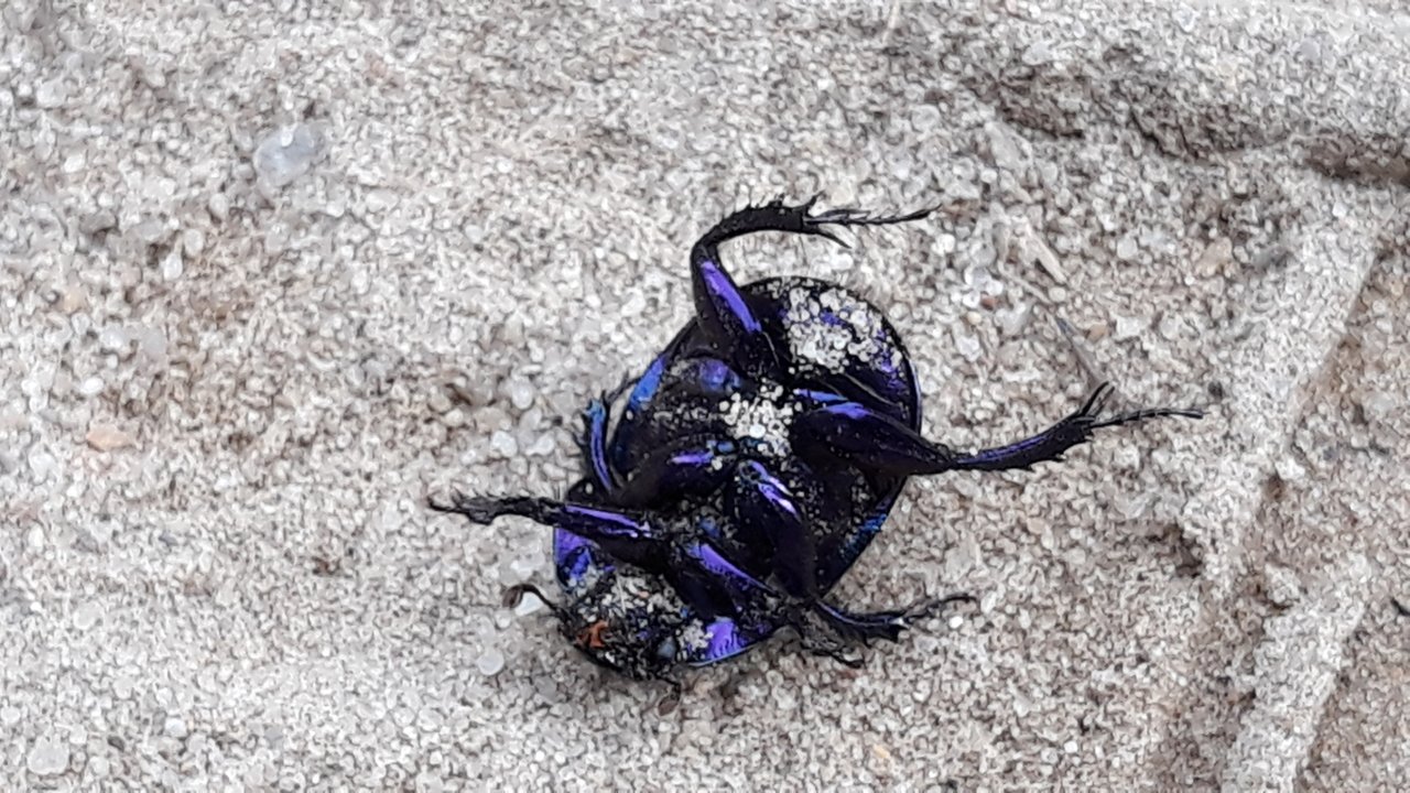 Screenshot_20190928-214024_Gallery.jpg
