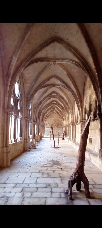 Screenshot_20201114-095627_Gallery.jpg