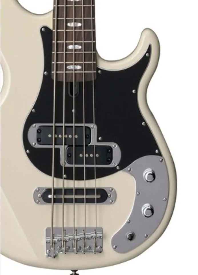 Screenshot_20210830-202605_Samsung Internet.webp